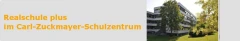 Logo Realschule IV Lerchenberg