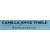 Logo Rechtsanwältin Camilla Joyce Thiele