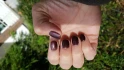 Logo Red Lotus Nails Nagelstudio Thu Hoang