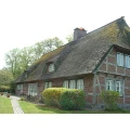 Reetdachpflege Horst Wiese Barkelsby