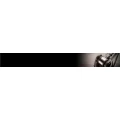 Logo Wendland, Regine