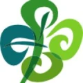 Logo RegioPflegedienst Klaus Klee