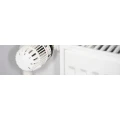 Logo Reiner Giersch