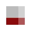 Logo Reinert, Appy & Partner