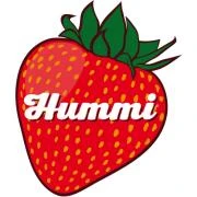Logo Reinhold Hummel GmbH & Co. KG