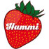Logo Reinhold Hummel GmbH & Co. KG Gartenbau