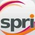 Logo Reinhold Springer Tanzschule