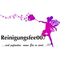 Reinigungsfee007 Winsen
