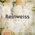 Reinweiss Blumen Berlin
