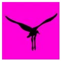 Logo Reise Know-How Verlag Tondok