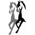 Logo Reit- und Fahrverein e.V.