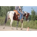 Reitanlage Pfeiffer Escheburg