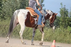 Reitanlage Pfeiffer Escheburg