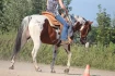 Logo Reitanlage Pfeiffer
