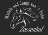 Logo Reitanlage Zossenhof, Andy Klasing