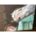 Reitsport-Sattlerei vom Baur Reitsportsattlerei Solingen