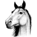 Logo Reitsportzentrum Gl&uuml;ckstadt Reiterhof