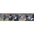 Logo Reitsportzentrum Wentorf