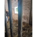 Reitstall "Hof Kneeden" Bad Oldesloe