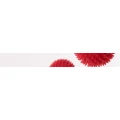 Logo Severin, Ren&eacute; Dipl.-Phys.