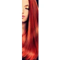 Logo Renger's Profi-Haar-Shop