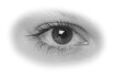 Logo Renner Wolfgang Dr.med.