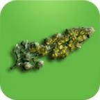 Logo Reseda-Apotheke