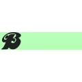 Logo Bellevue
