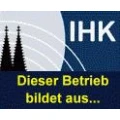 Logo Delphi