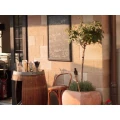 Logo Restaurant Ketty