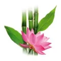Logo Restaurant Siam Sylt