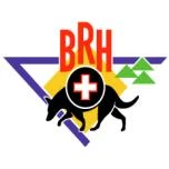 Logo Rettungshundestaffel Frankfurt (BRH)