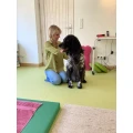 revital - Physiotherapie f&uuml;r Hunde Bonn