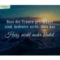 Ricam-Hospiz gGmbH Berlin