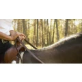 Logo RideInn - Reitsportbedarf