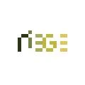 Logo Riege Software International GmbH