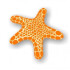 Logo Riffsystem Inh. Wolfgang Hambitzer