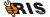 Logo RIS GmbH