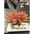 Ristorante Barolo Norderstedt