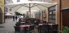 Logo Ristorante Le Palme