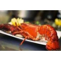 Logo Ristorante Tullio