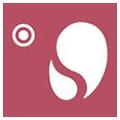 Logo Robinson Wellfit