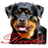 Logo Rocko's Hardware - Ecklebe M.