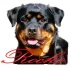 Logo Rocko's Hardware - Ecklebe M.