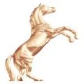 Logo R&ouml;&szlig;le