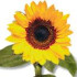 Logo Roland Brenner Garten- und Landschaftsbau