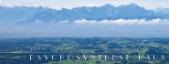 Logo Roland Raible Psychotherapeutische Praxis