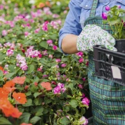 ROSAROSTIG - Gartenaccessoires und mehr Floristikfachgeschäft Kiel