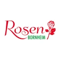 Rosen Bornheim Rheinbreitbach