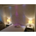 Rosen Lux Darmstadt